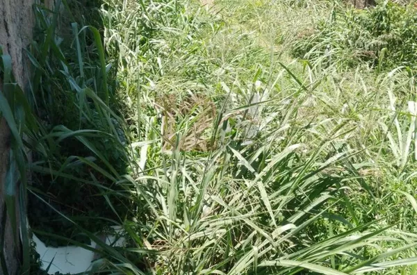 Terreno para venda,  Monte Líbano, Piracicaba - Foto 4