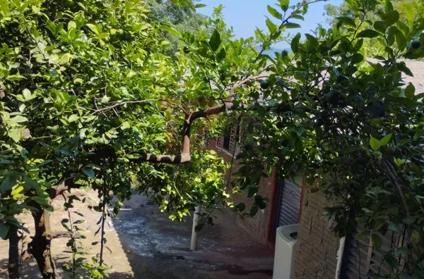 Casa para venda e permuta, 2 quarto(s),  Centro, Santa Maria Da Serra - Foto 1