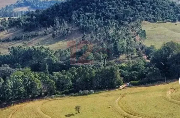 Sítio para venda,  Morada Do Sol, Analandia - Foto 1