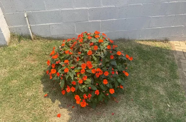 Apartamento para venda,  Glebas Califórnia, Piracicaba - Foto 3