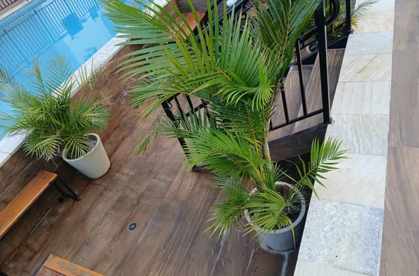 Apartamento para venda, Vera Tereza, Caieiras - Foto 23