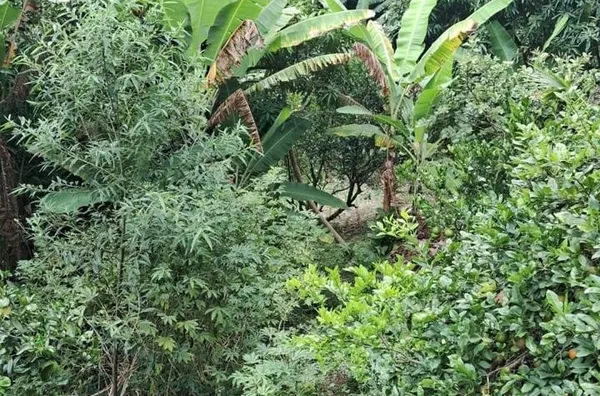 Casa para venda,  Bairro Dos Penhas, Franco Da Rocha - Foto 24