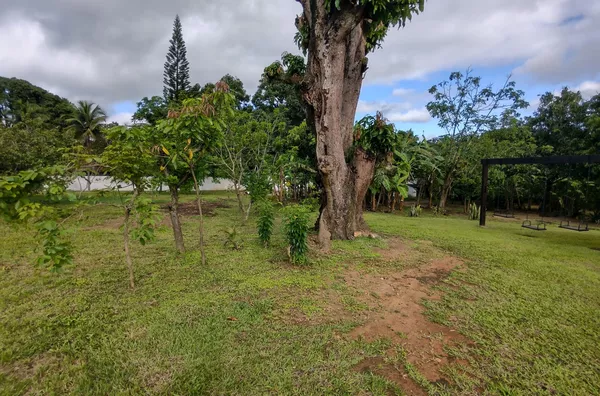 Sítio à venda, Jardim Maracanã, Seropédica, RJ
