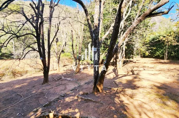 Casa para venda, 4 suítes, Santa Mônica, Itaipava, Petrópolis - Foto 6