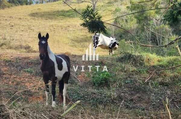 Excelente Terreno para venda,  Secretário, Petrópolis - Foto 1