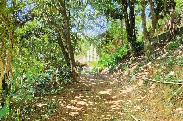 Estrada