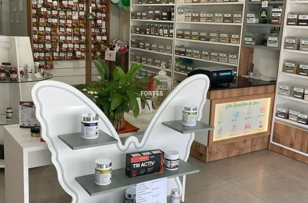 PONTO COMERCIAL A VENDA NO CENTRO DE FRANCISCO BELTRÃO - Foto 3