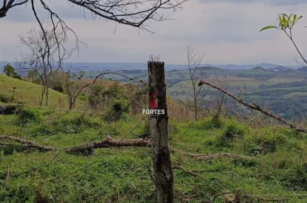 CHÁCARA À VENDA NA LINHA FREIRE: 27 KM DE FRANCISCO BELTRÃO!