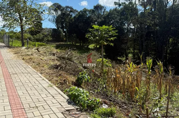 OPORTUNIDADE! LOTE DE 979,71 M² À VENDA NO BAIRRO BOM PASTOR - FRANCISCO BELTRÃO 