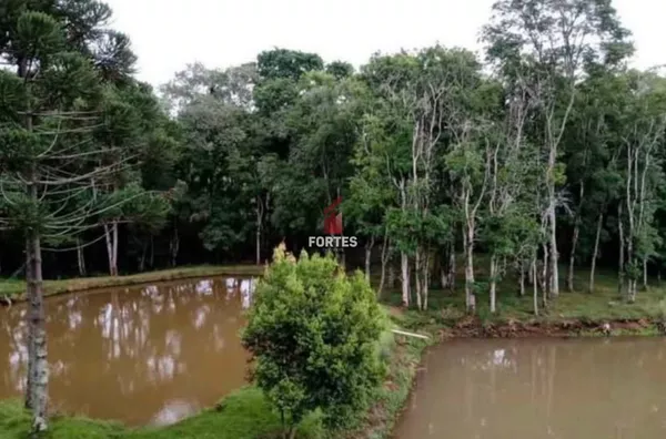 ÁREA RURAL PARA VENDA À 10 KM DO TREVO DO ALVORADA!