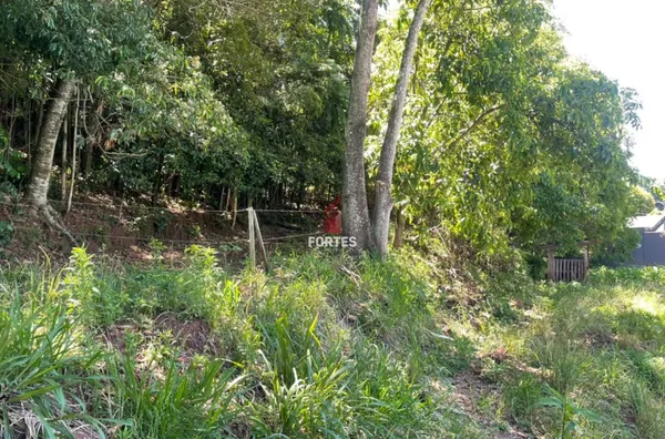 LOTE RURAL DISPONÍVEL À VENDA NA LINHA SÃO PAULO: QUALIDADE DE VIDA E NATUREZA! 