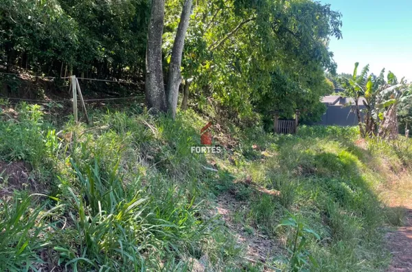 LOTE RURAL DISPONÍVEL À VENDA NA LINHA SÃO PAULO: QUALIDADE DE VIDA E NATUREZA! 