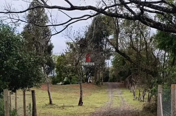 CHÁCARA À VENDA NA LINHA FREIRE: 27 KM DE FRANCISCO BELTRÃO!