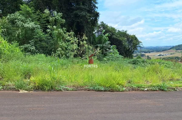 LOTE À VENDA NO BAIRRO SEMINÁRIO: 300 M² PARA CONSTRUIR SEU SONHO!