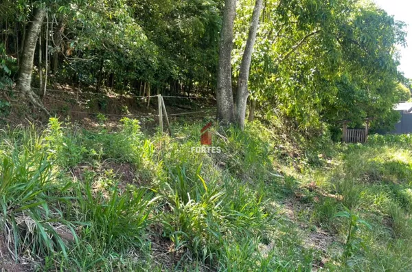 LOTE RURAL DISPONÍVEL À VENDA NA LINHA SÃO PAULO: QUALIDADE DE VIDA E NATUREZA! 
