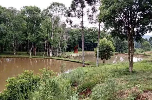 ÁREA RURAL PARA VENDA À 10 KM DO TREVO DO ALVORADA!