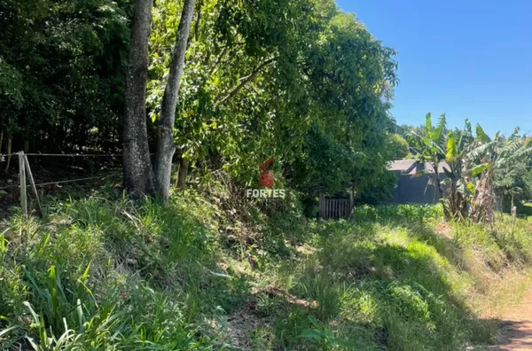 LOTE RURAL DISPONÍVEL À VENDA NA LINHA SÃO PAULO: QUALIDADE DE VIDA E NATUREZA! 
