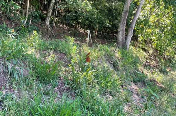 LOTE RURAL DISPONÍVEL À VENDA NA LINHA SÃO PAULO: QUALIDADE DE VIDA E NATUREZA! 