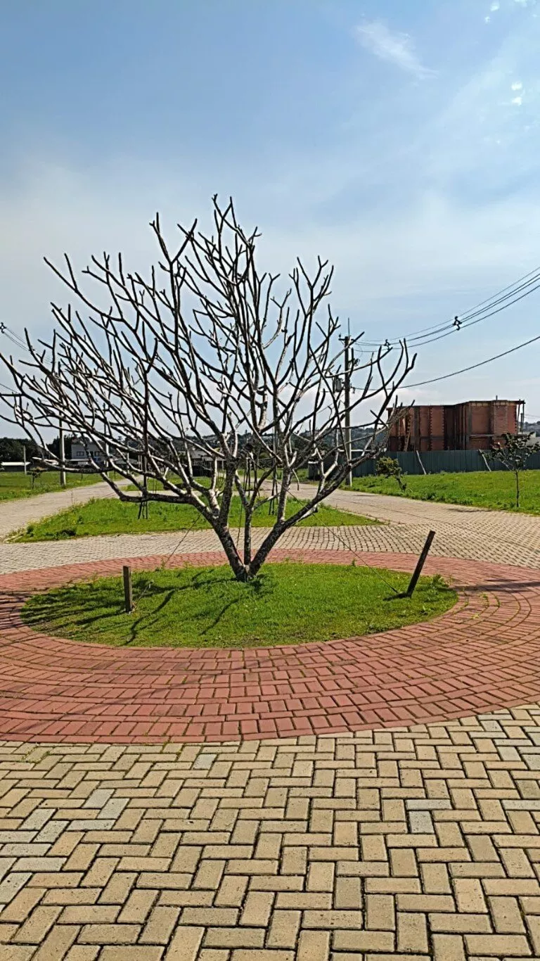 Terreno para venda, Jaú, Santo Antônio Da Patrulha