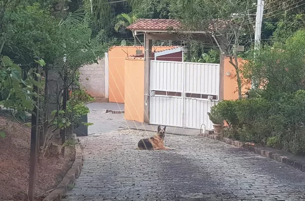 *Chácara 5.000 m² Estrada Jundiaí - Jarinu - Foto 2