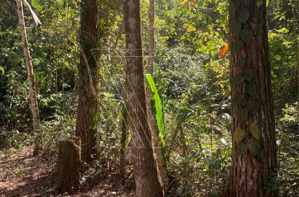 ÁREA RURAL À VENDA – 2160m² - LOTEAMENTO PARQUE MORANGABA – Jundiaí/SP - Foto 14