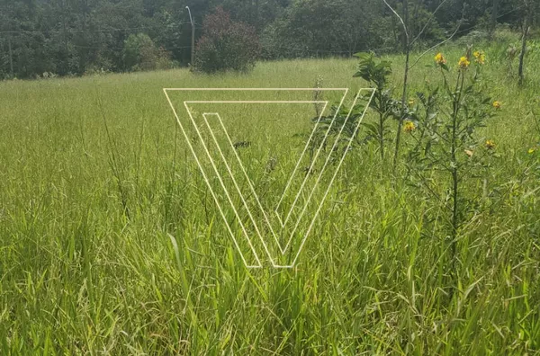 *LANÇAMENTO - LOTE DIRETO COM CONSTRUTOR - ENTRADA + PARCELAMENTO até 60x - Foto 2