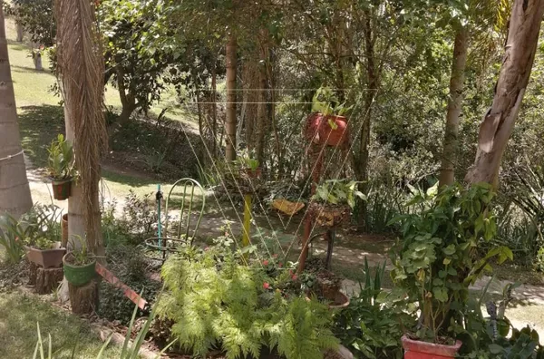 Chácara à venda - com 24.000 m² - 2 casas - Jundiaí Mirim - Jundiaí - SP - Foto 19