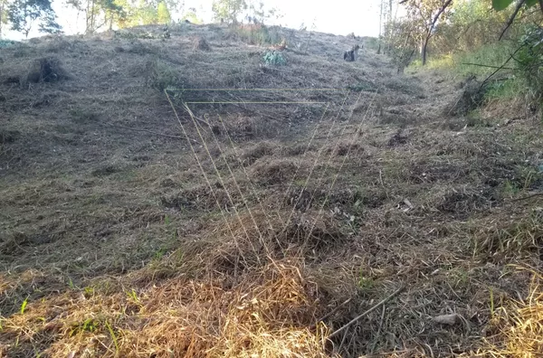 *TERRENO DE 3420m² - COM UM PLATÔ DE 1000m², JARINU - Foto 4