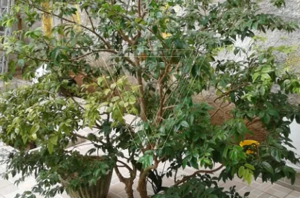 Sobrado no Jardim das Tulipas aceita PERMUTA com chácaras no valor de até 600 mil. - Foto 7