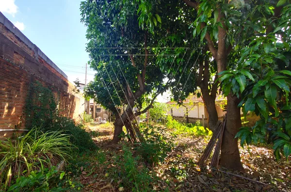OPORTUNIDAE ! BAIXOU DE PREÇO ! Terreno Comercial com edícula 40m² A/C e 345 m² A/T - próximo à Av dos Ferroviários - Jundiaí-SP - Foto 10