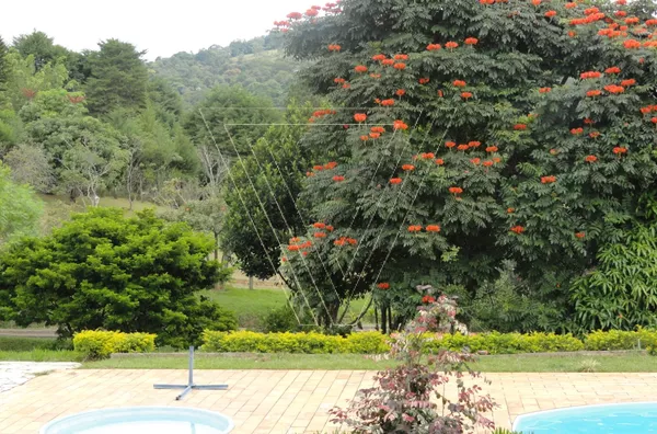 Chácara dos Sonhos -5.440m² - Pau Arcado - Campo Limpo Paulista - SP - Foto 19