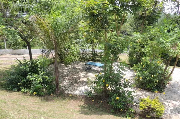 Chácara dos Sonhos -5.440m² - Pau Arcado - Campo Limpo Paulista - SP - Foto 16