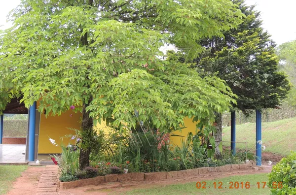Chácara dos Sonhos -5.440m² - Pau Arcado - Campo Limpo Paulista - SP - Foto 14