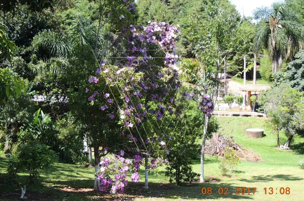 Chácara dos Sonhos -5.440m² - Pau Arcado - Campo Limpo Paulista - SP - Foto 13