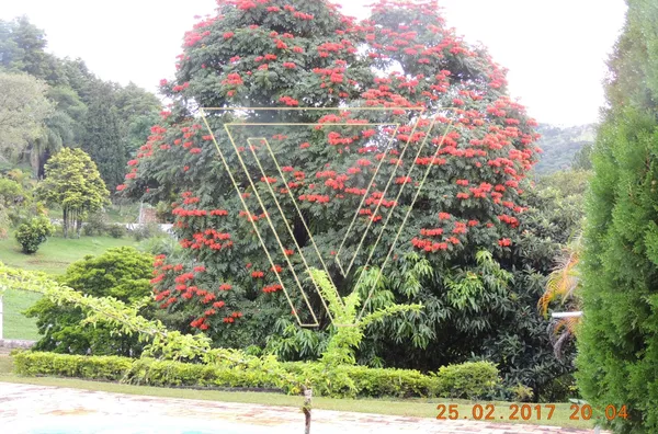 Linda Chácara - Pau Arcado - Campo Limpo Paulista!!! - Foto 1