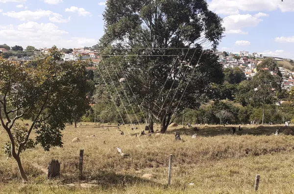 ÁREA de 21 hectares- PRÓXIMA AO PARQUE DA CIDADE- Jundiaí - SP - Foto 4