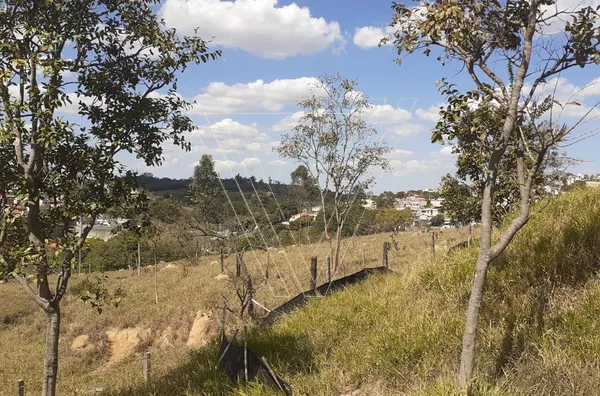 ÁREA de 21 hectares- PRÓXIMA AO PARQUE DA CIDADE- Jundiaí - SP - Foto 2