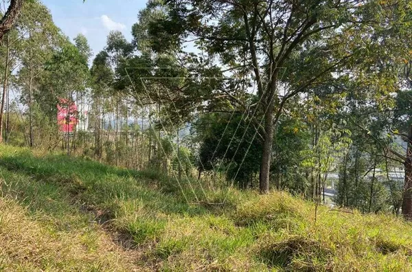 Terreno - Chácara Recreio Lagoa dos Patos 5141 m² -Aceita permuta por Terrenos. - Foto 2