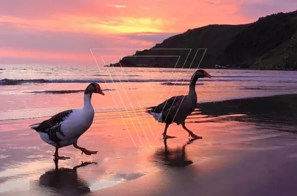 Casa a venda em São Sebastião a poucos metros do Mar - Foto 20