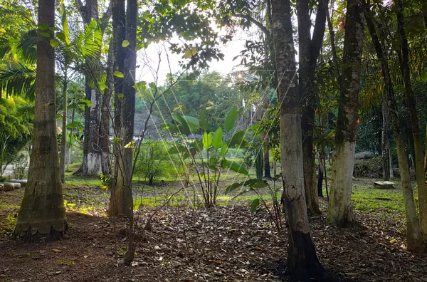 VENDE-SE EXCELENTE CHÁCARA COM 5000m² NO FIGUEIRA BRANCA - CAMPO LIMPO PAULISTA - ACEITA PERMUTA COM CASA DE RUA EM JUNDIAÍ ATÉ METADE DO VALOR ! - Foto 19