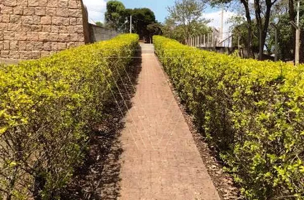 Chácara com Piscina Área Gourmet 2 Suítes 5116m² - Terras De Santa Cruz/Ivoturucaia - Foto 11