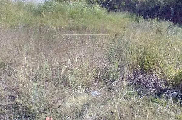 Terreno no loteamento Ipanema. - Foto 4