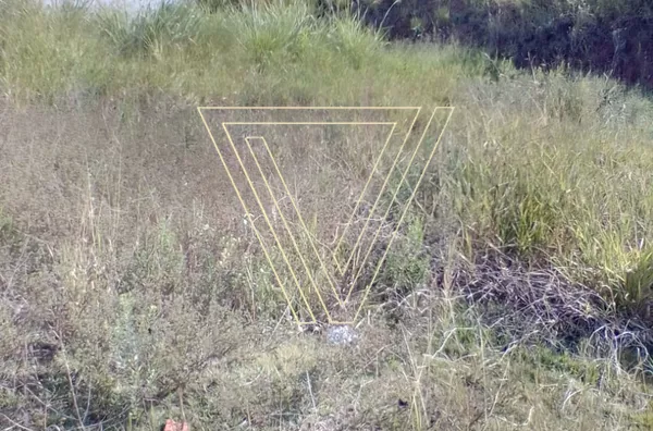 Terreno no loteamento Ipanema. - Foto 4