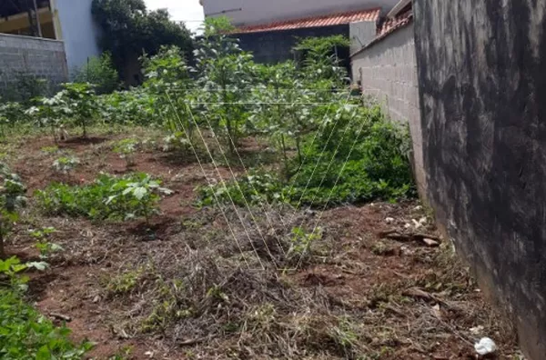 *Terreno à Venda no Corrupira – 250 m² | Plano, Murado e Pronto para Construir