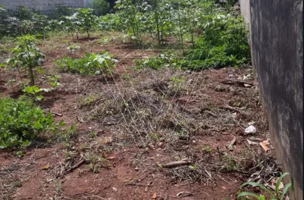 *Terreno à Venda no Corrupira – 250 m² | Plano, Murado e Pronto para Construir