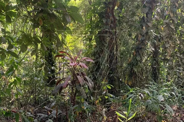 ÁREA RURAL À VENDA – 2160m² - LOTEAMENTO PARQUE MORANGABA – Jundiaí/SP - Foto 13