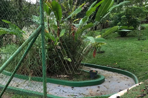 *LINDA CHÁCARA COM 2.757 M² DE TERRENO E 469 M² DE ÁREA CONSTRUÍDA, COM PISCINA E CAMPO DE FUTEBOL, VÁRZEA PAULISTA. - Foto 16