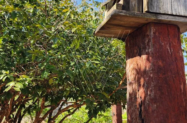 Casa alto padrão em Jundiai / Itupeva - Vivendas do Japi - Foto 9