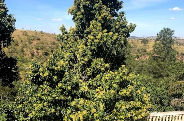 *Chácara à Venda – Fazenda Marajoara, Campo Limpo Paulista-SP | 3 Dormitórios e Edícula - Foto 2