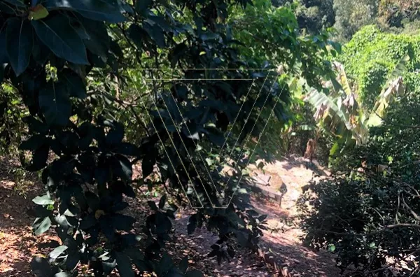 *Chácara à Venda – Fazenda Marajoara, Campo Limpo Paulista-SP | 3 Dormitórios e Edícula - Foto 47